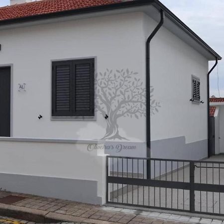 Oliveira'S Dream - Stay Good, Feel Good Maía Exterior foto